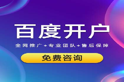 行业领先企业的关键词竞价排名实战案例